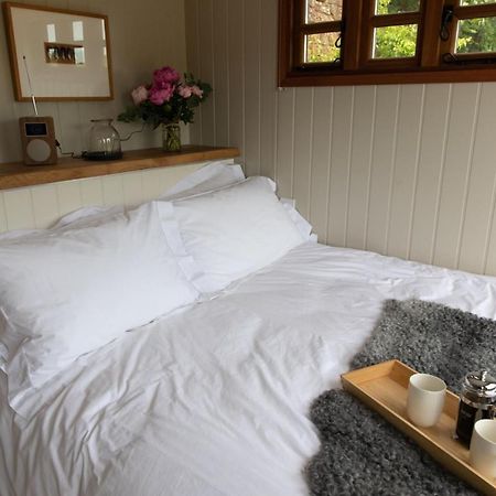 Luxury, Rural Shepherds Hut With Hot Tub Nr Bath Bristol Ngoại thất bức ảnh
